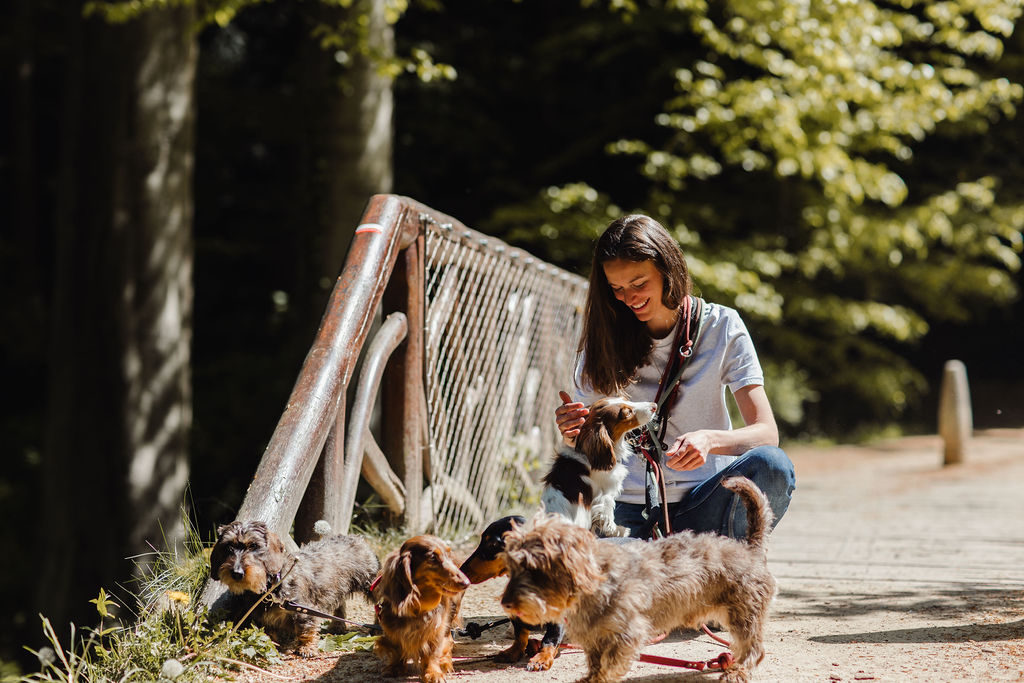 Urban Dogs Academy